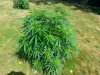 20140803_152533.jpg