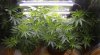 1xBD-1xJTR-3xPPP-Week6-1.jpg