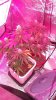 DSCF8473.JPG