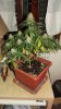 DSCF8480 (360x640).jpg
