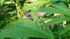 DSC01365.JPG