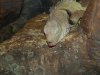 DSCN6172.jpg DSCN6172.jpg