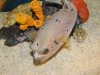 DSCN6145.jpg DSCN6145.jpg