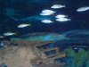 DSCN6125.jpg DSCN6125.jpg