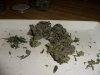 GDP buds.JPG