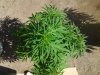 20140807_160733.jpg 20140807_160733.jpg