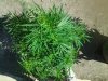 20140807_160740.jpg