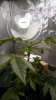 IMAG0049.jpg
