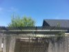 20140808_125422.jpg