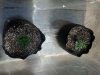2014-04-09_15-38-18_0.jpg