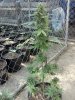2014-06-02_15-40-12_551.jpg