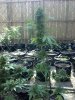 2014-06-02_15-43-27_791.jpg
