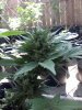 2014-06-02_15-44-18_930.jpg