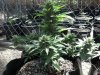 2014-06-02_15-44-33_890.jpg
