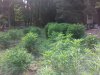 20140811_162928.jpg