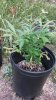 20140812_130513.jpg