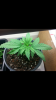 Screenshot_2014-08-13-01-59-04.png