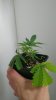 IMAG1228_cleaned.jpg