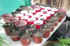 100_0623.JPG