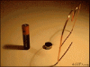 image12.gif image12.gif