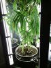 IMG_20140824_101850_935.jpg
