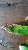 20140827_093043.jpg