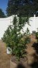 20140827_100444.jpg 20140827_100444.jpg