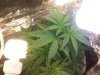 100_2752.jpg