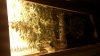 day 21 f (3).jpg