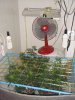 DSC04342.JPG