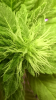Screenshot_2014-08-28-23-29-44.png