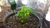 20140903_105631.jpg