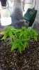 20140903_105711.jpg