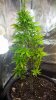 20140903_105657.jpg