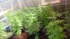 20140905_150835.jpg