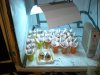 Dec 19-08.JPG