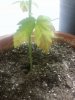 20140906_235212.jpg 20140906_235212.jpg
