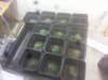 20140902_043449.jpg 20140902_043449.jpg