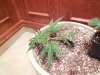 DSCN0503.JPG