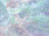 CritPlus Day 110_Trichome Close up2.jpg