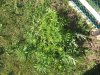 20140627_171741.jpg
