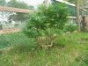 20140905_190216.jpg