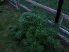 20140911_194118.jpg