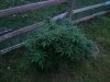 20140911_194123.jpg