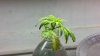 20140919_125145.jpg