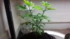20140919_125047.jpg