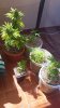 20140921_123215.jpg