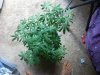 20140818_000512.jpg