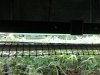 20140907_104603.jpg