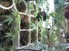 1220081121a.jpg